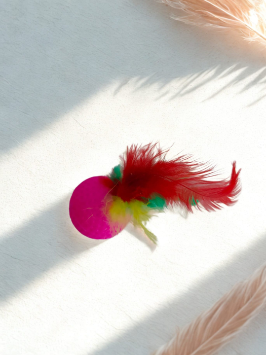 Jucărie pentru pisici, minge cu pene, 6 cm [3]