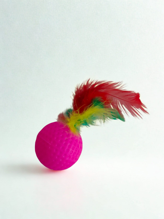 Jucărie pentru pisici, minge cu pene, 6 cm [2]