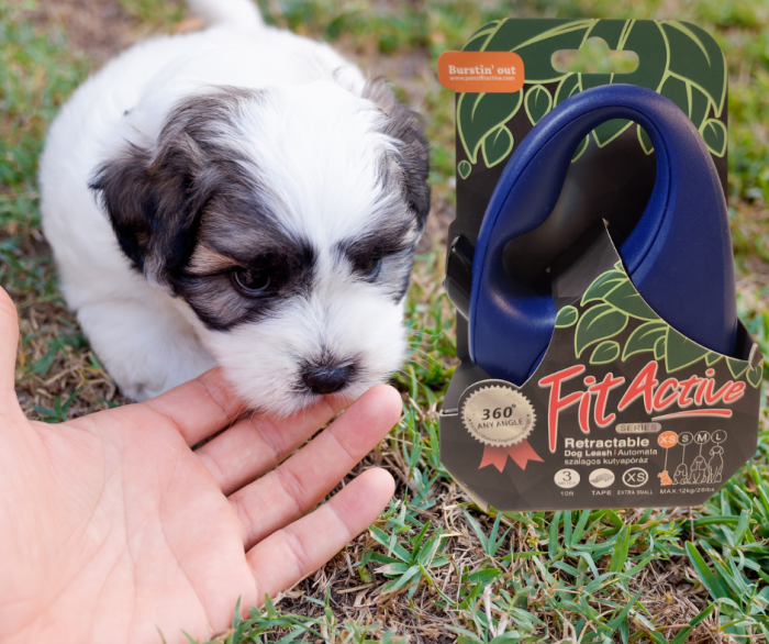 Lesă retractabilă FitActive pentru câini, bandă, 5 m, mărime S, până la 15 kg [2]