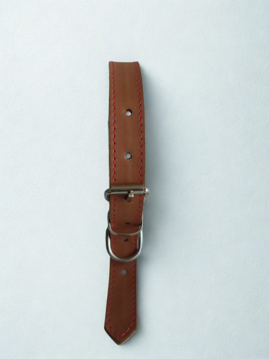 Zgardă pentru câini din piele naturală, reglabilă, 55 cm [2]