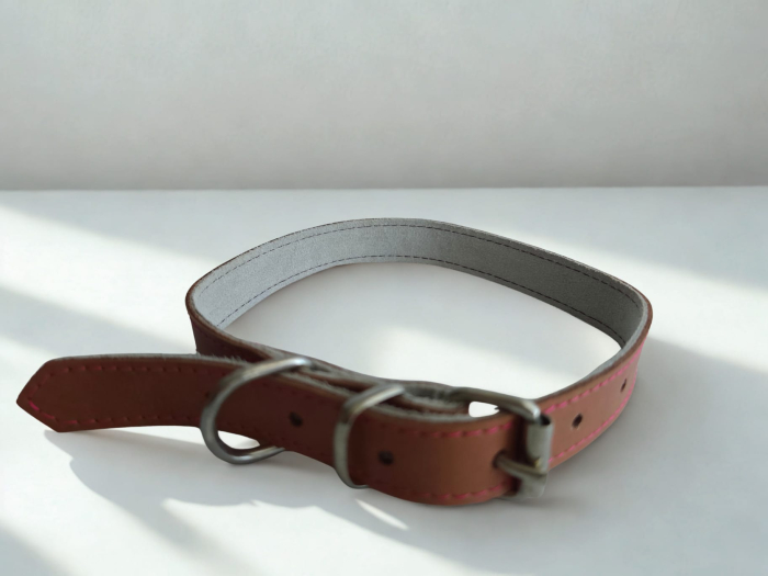 Zgardă pentru câini din piele naturală, reglabilă, 55 cm [3]