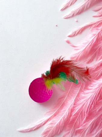 Joacă - Jucărie pentru pisici, minge cu pene, 6 cm