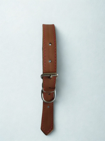 Zgardă pentru câini din piele naturală, reglabilă, 55 cm [1]