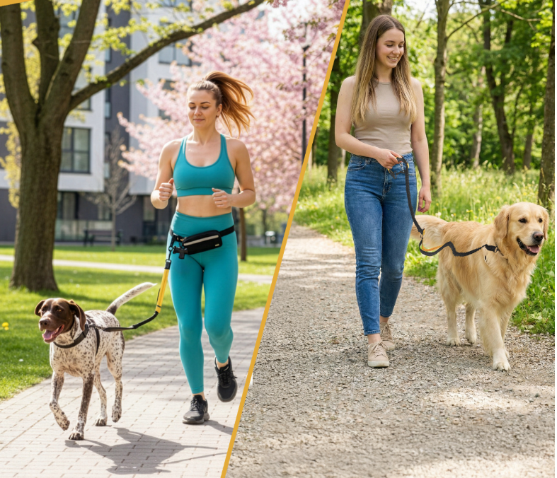 Lesa alergare caini cu centura hands-free, amortizor soc, reglabila si reflectorizanta, cu borseta detasabila, pentru mers si jogging, caini pana la 50 kg [10]