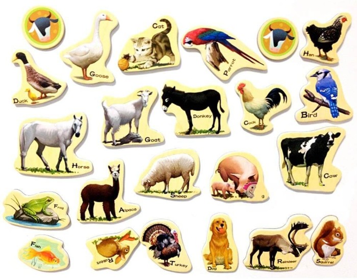 23 piese magnetice cu animale [2]