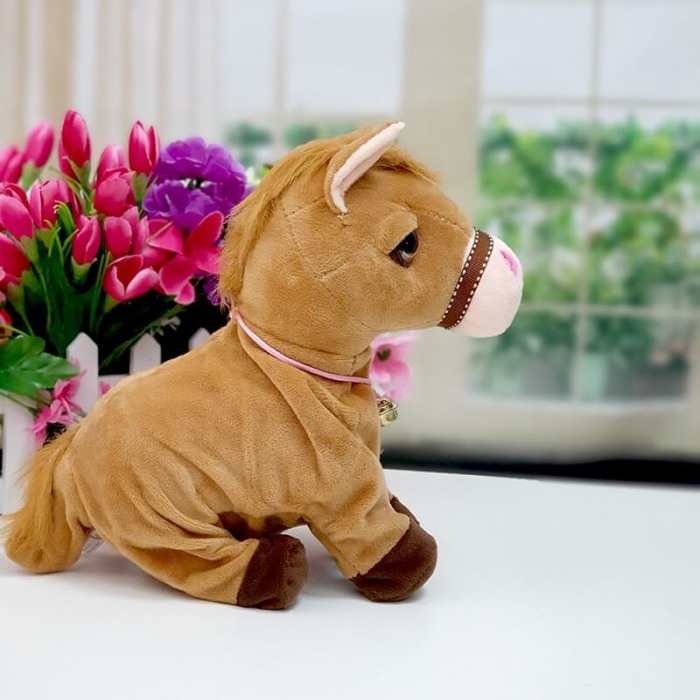 Calut interactiv cu senzor [3]