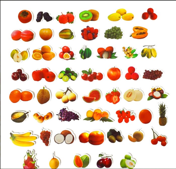 Fructe magnetice 52 piese [4]