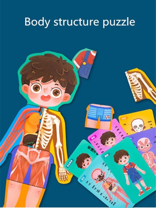 Joc din lemn Anatomia corpului pentru Baietel [4]