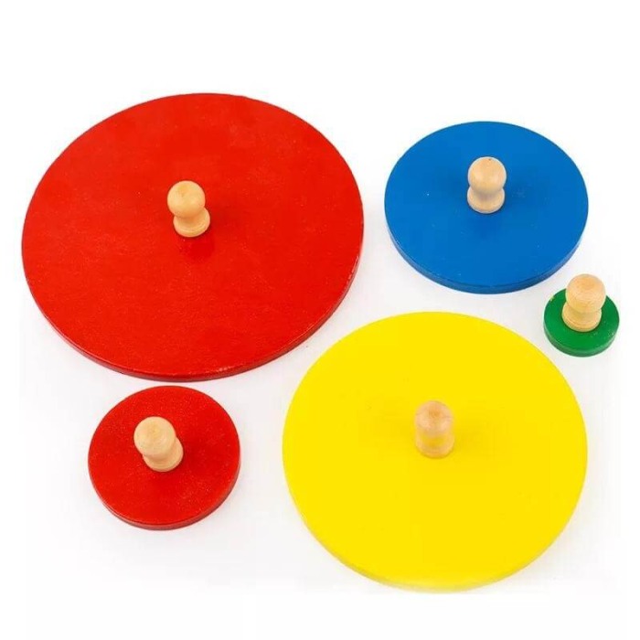 Joc educational Montessori 5 cercuri colorate [5]