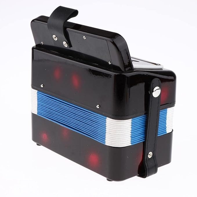 Jucarie Acordeon [6]