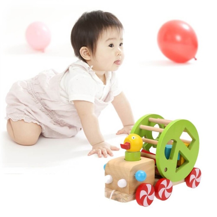 Jucarie de tras ratusca cu sortator forme [6]