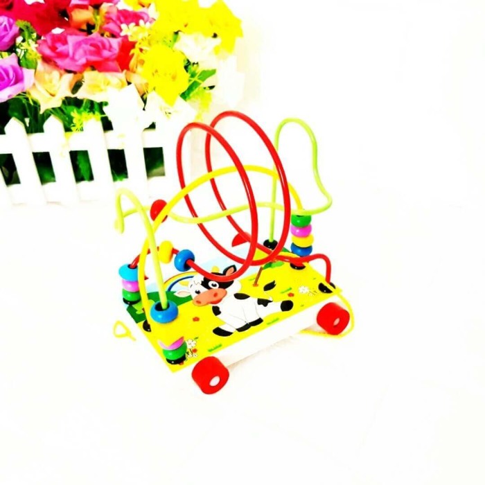 Jucarie motrica Montessori [6]