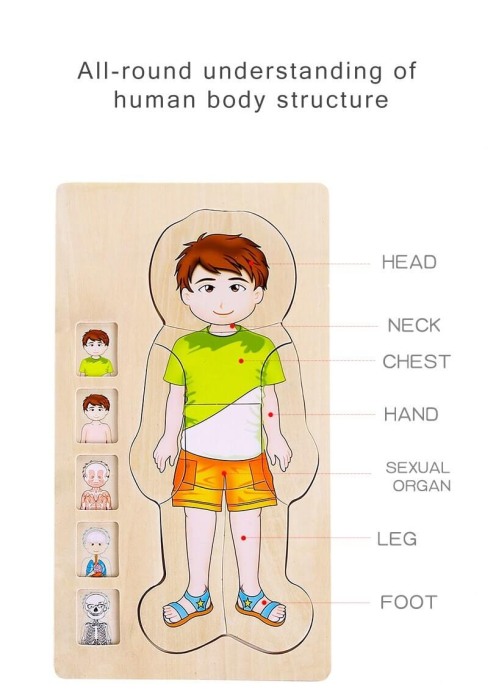 Puzzle Corpul uman-Baietel [4]