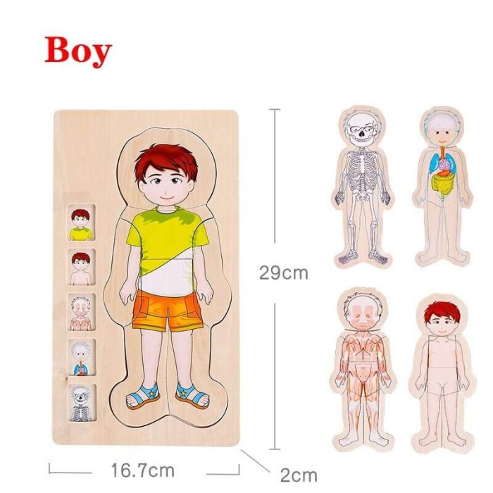 Puzzle Corpul uman-Baietel [3]