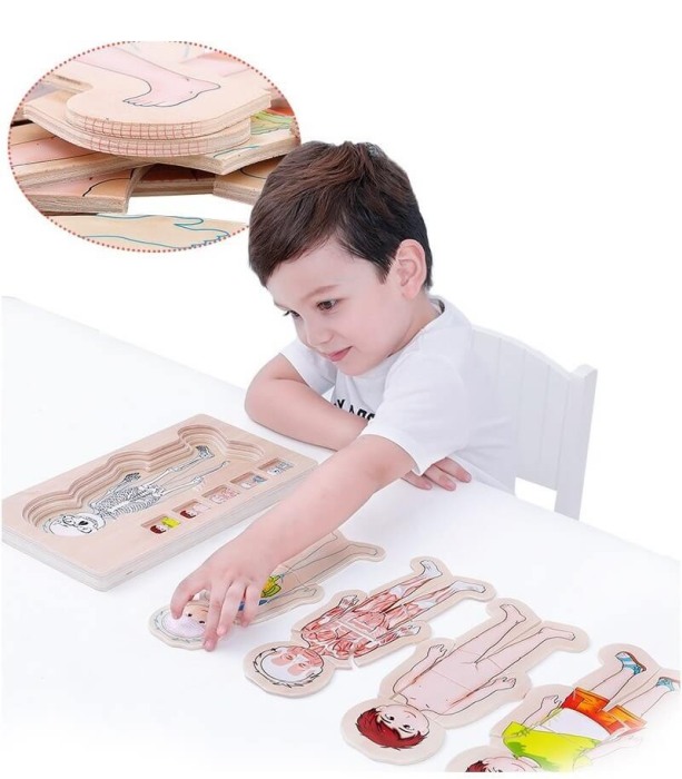 Puzzle Corpul uman-Baietel [2]