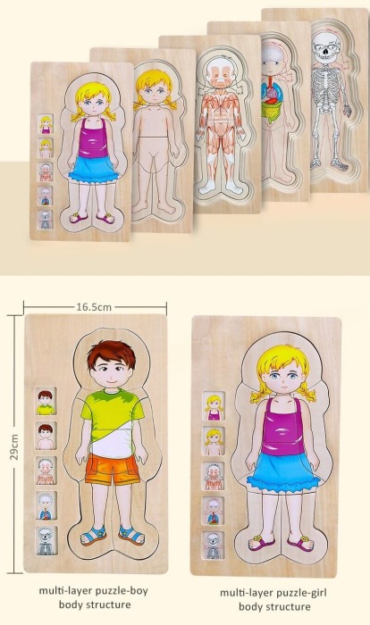 Puzzle Corpul uman-Fetita [3]