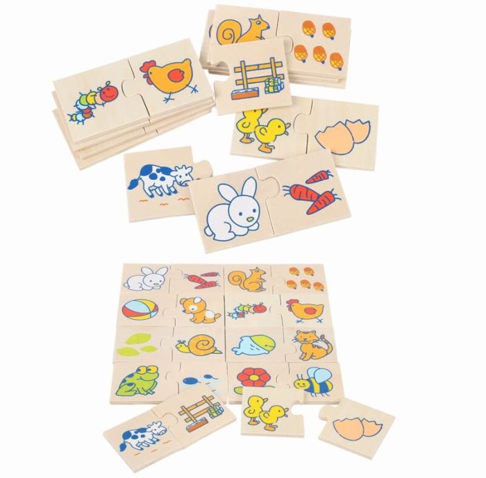 Puzzle de asociere Onshine [2]