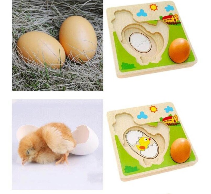 Puzzle educativ Ou-Gaina [3]
