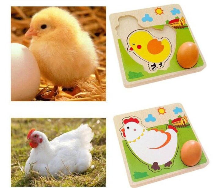Puzzle educativ Ou-Gaina [2]