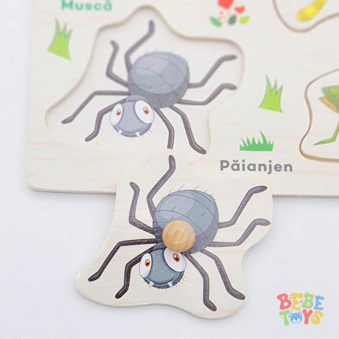 Puzzle lemn in limba romana Insecte [2]