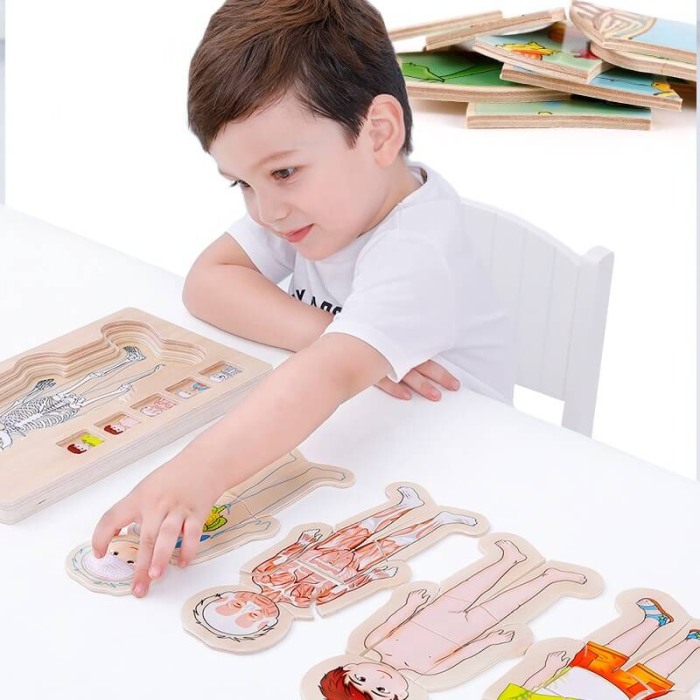 Set puzzle: Corpul uman [7]