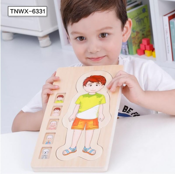 Set puzzle: Corpul uman [4]