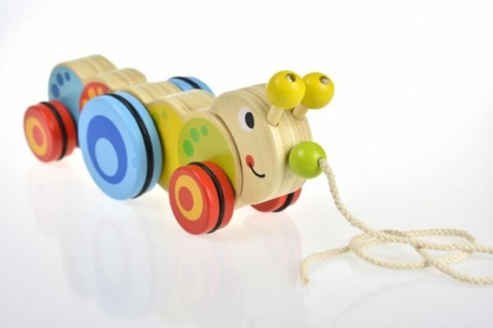 Tooky Toy Jucarie de tras Omida [2]