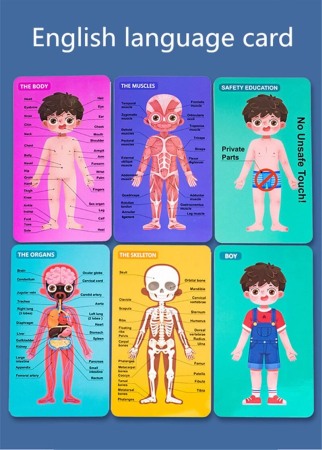 Joc din lemn Anatomia corpului pentru Baietel [1]