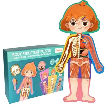 Puzzle - Joc din lemn Anatomia corpului pentru Fetite