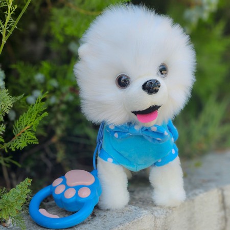 Jucarie interactiva catel cu lesa [3]