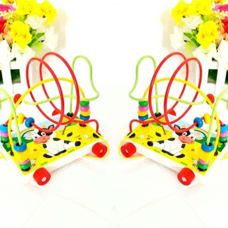 Jucarie motrica Montessori [0]