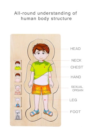 Puzzle Corpul uman-Baietel [3]