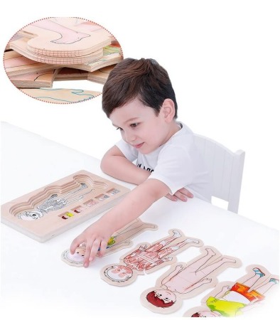 Puzzle Corpul uman-Baietel [1]