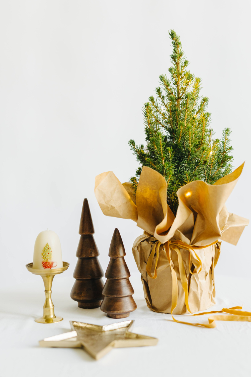 Lumânare din ceară naturală de albine lucrată manual - Brad în ceașcă [5]