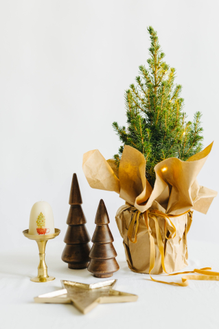 Lumânare din ceară naturală de albine lucrată manual - Brad în ceașcă [4]