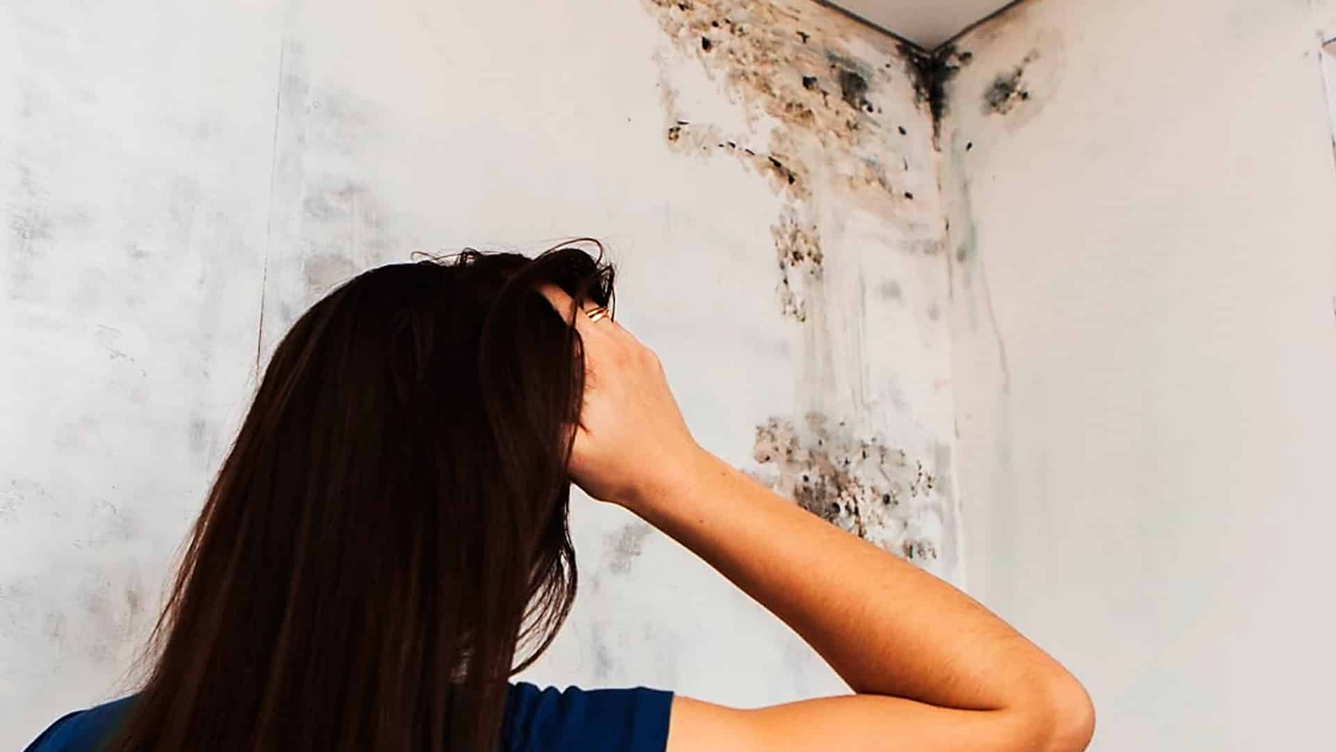 VREI SĂ SCAPI DE MUCEGAIUL DIN CASĂ? AVEM SOLUȚIA POTRIVITĂ PENTRU TINE