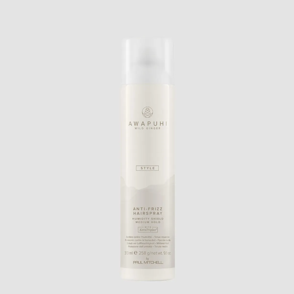 Tipuri de par - ANTI-FRIZZ HAIRSPRAY 307ml PM