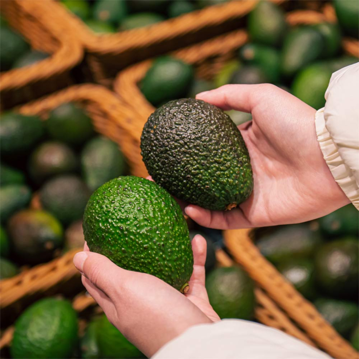 Avocado [5]