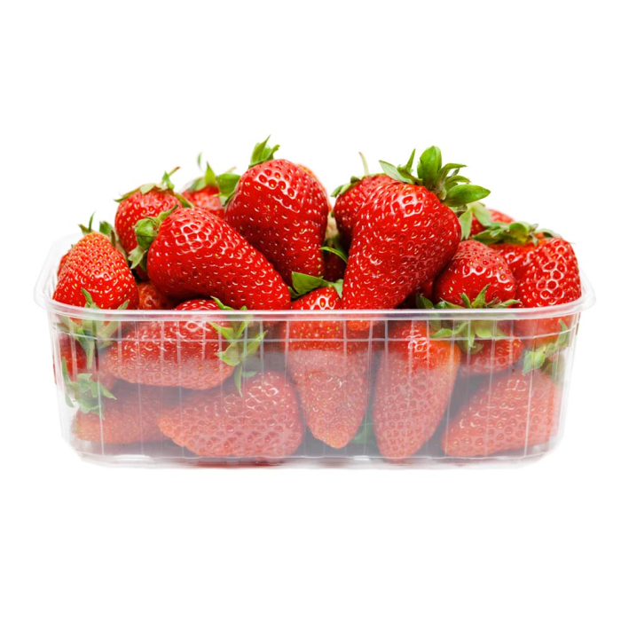 Caspsune Caserola [1]