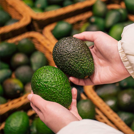Avocado [4]
