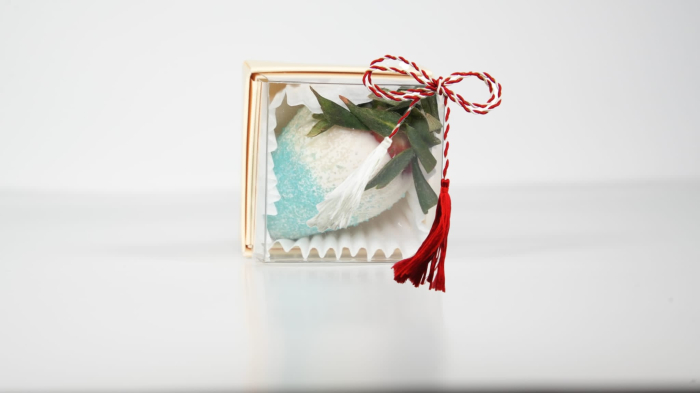 "Boy" – Mărturie căpșuni în ciocolată [2]