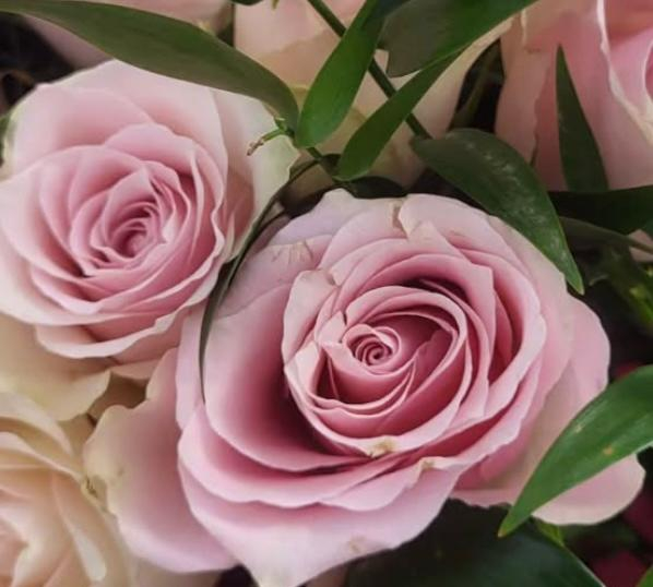 "Gentle Rose" – Buchet de trandafiri [2]