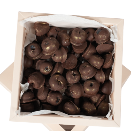 Capsuni in Ciocolata - "Blueberries Dark" – Afine în ciocolată