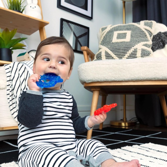 Baby Einstein - Jucarie de dentitie Ocean Explorers Cool Critter, 3 luni + [2]