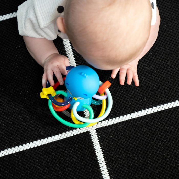 Baby Einstein - Jucarie de dentitie si alinare, "Ocean Explorers Opus" [2]