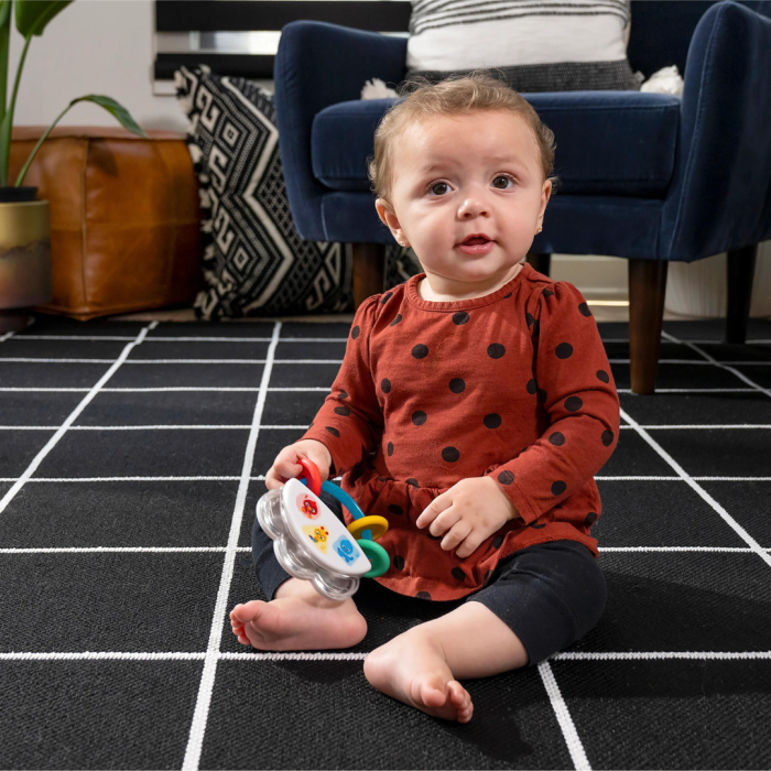 Baby Einstein - Jucarie muzicala si zornaitoare "Tiny Tambourine" [6]