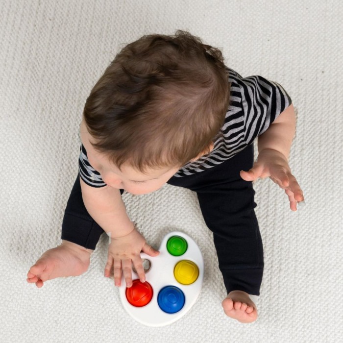 Baby Einstein - Jucarie senzoriala Color Pop Palette [6]