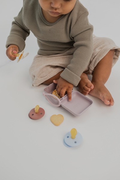 BIBS - Cutie multifunctionala pentru depozitare suzete, Dark Oak [6]