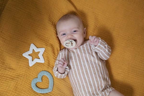 BIBS - Jucarie de dentitie in forma de inima, Blush [3]