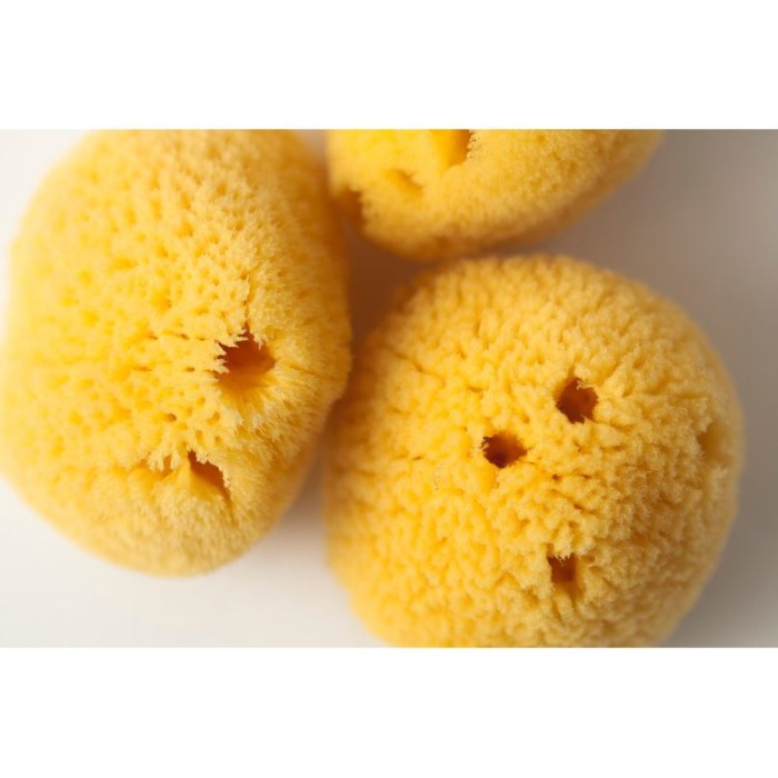 Burete natural - Zimocca - Grunspecht [4]